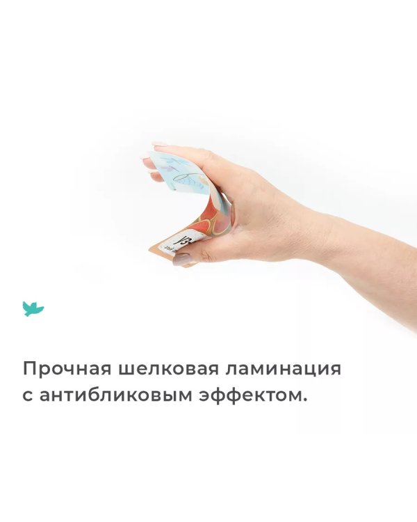 География, или Большое путешествие