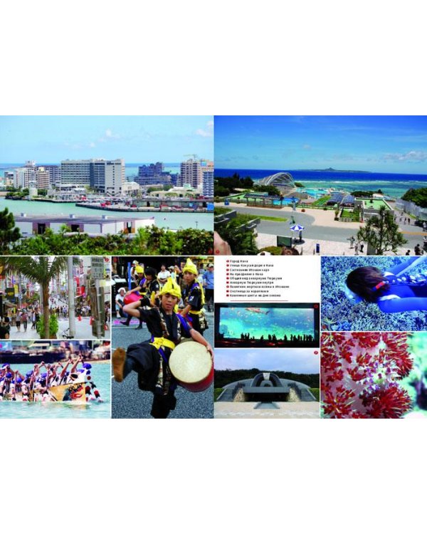 Япония на ладони