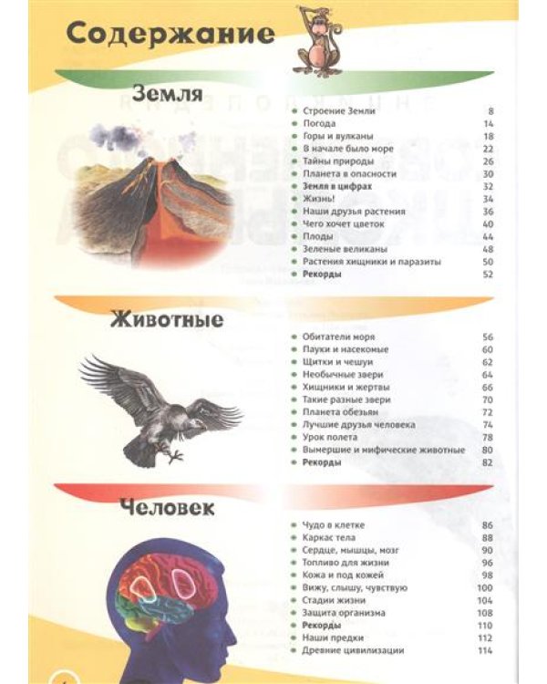 Энциклопедия современного школьника