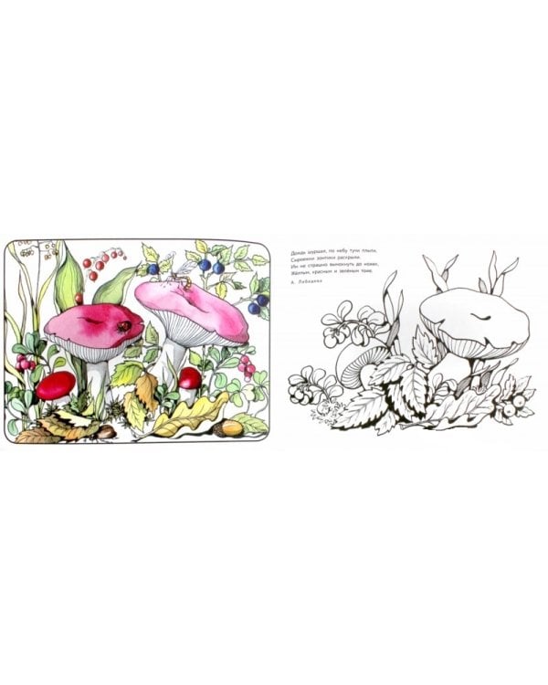 Альбом для раскрашивания. Калинка да малинка