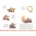 Дополнительное изображение книги «Обереги своими руками. Для дома, на счастье, от сглаза и порчи»