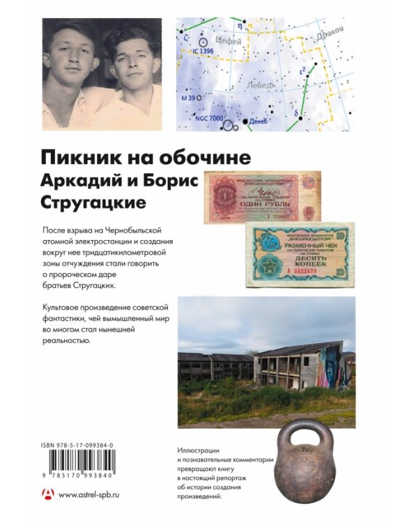 Пикник на обочине