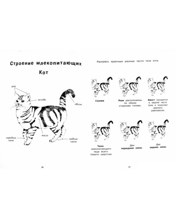 Дополнительное изображение книги «Я учусь с Montessori. Книга для ознакомления с окружающим миром по методике Монтессори + наклейки»