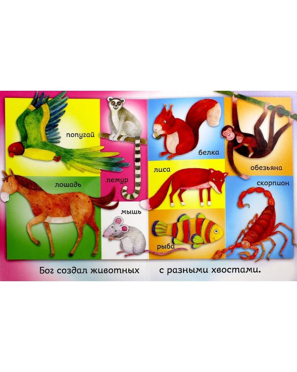 Бог создал меня