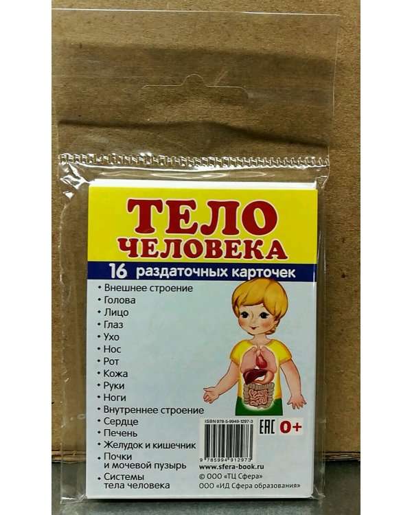 Раздаточные карточки. Тело человека