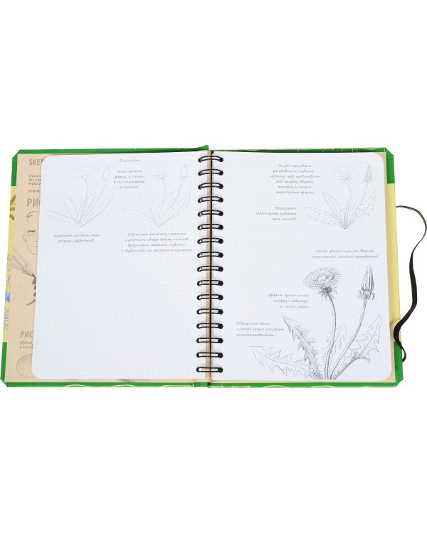 Sketchbook. Рисуем цветы. Визуальный экспресс-курс рисования