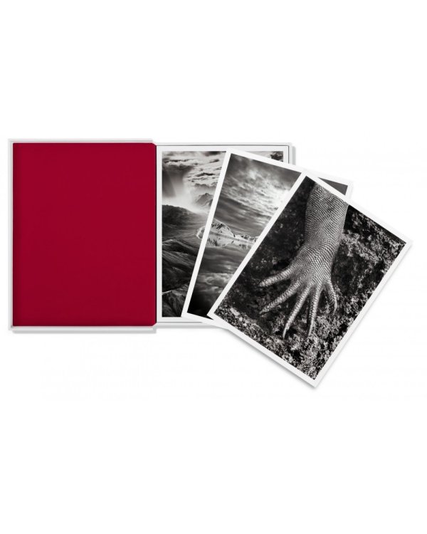 Salgado. Набор из 25 открыток