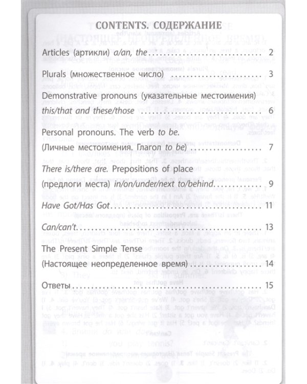 Английский язык. Грамматика