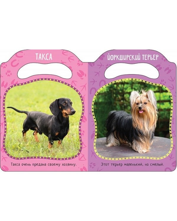 Кто гавкает?