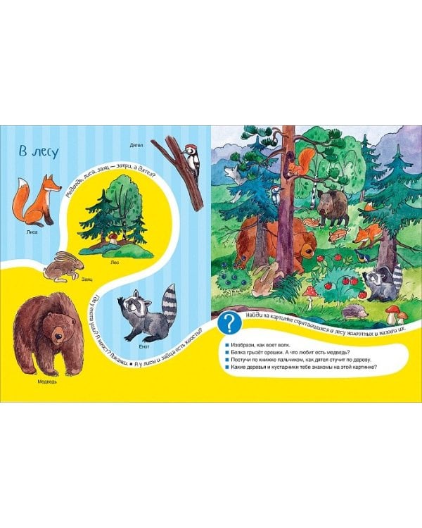 Дикие животные