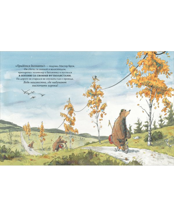 Мистер Брум и загадочный телевизор