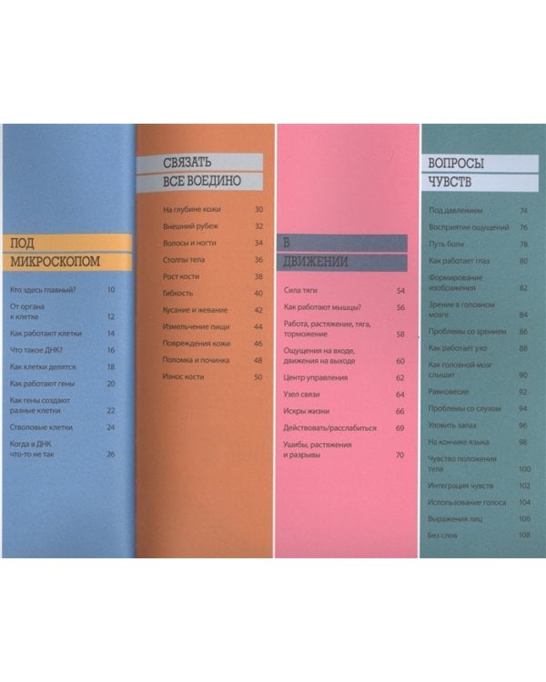 Как работает тело