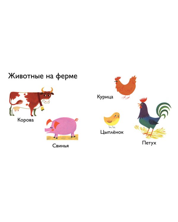 Дополнительное изображение книги «Животные»