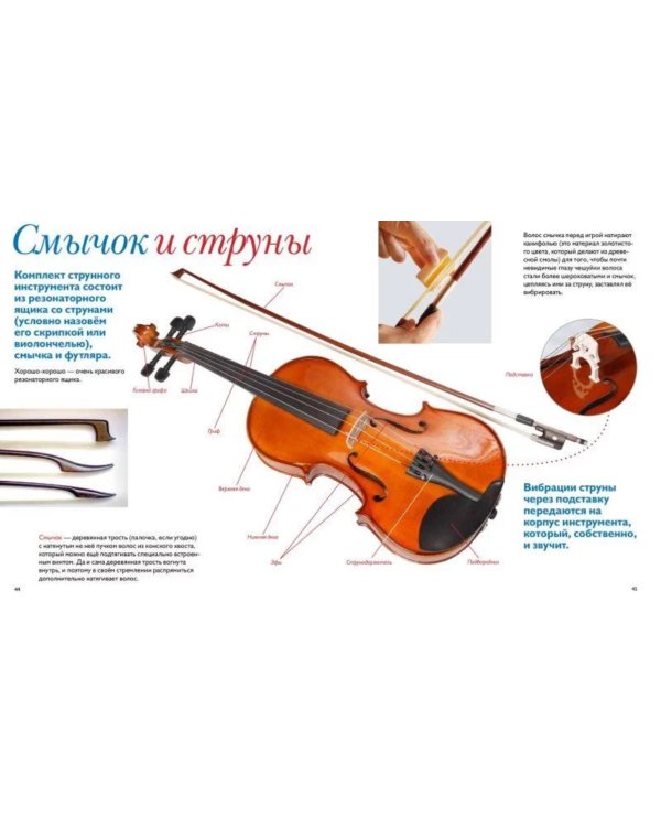 Оркестр и его обитатели