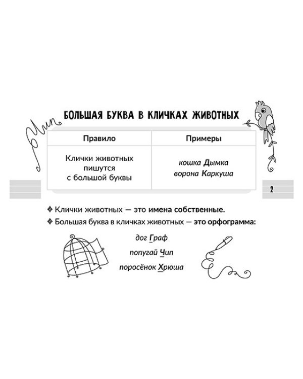 Все правила русского языка. 1 класс. С наглядными примерами, контрольными и тренировочными упражнениями