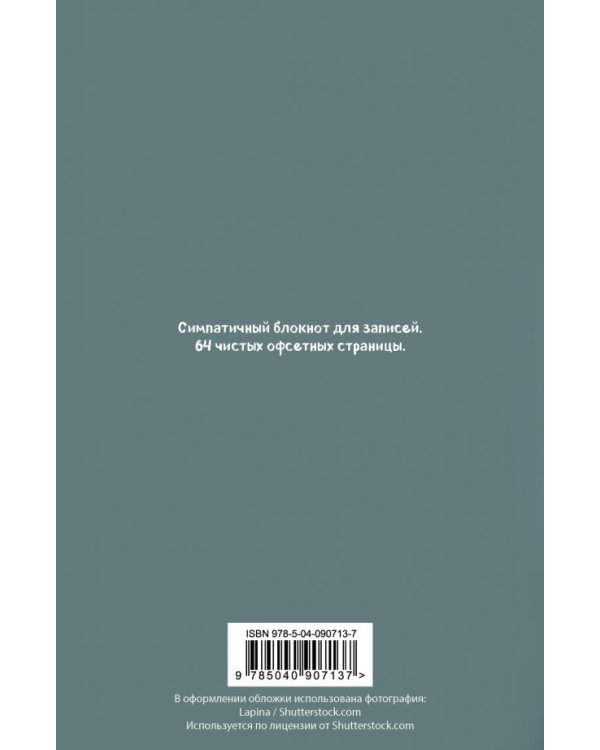 Блокнот. Кот-трудоголик