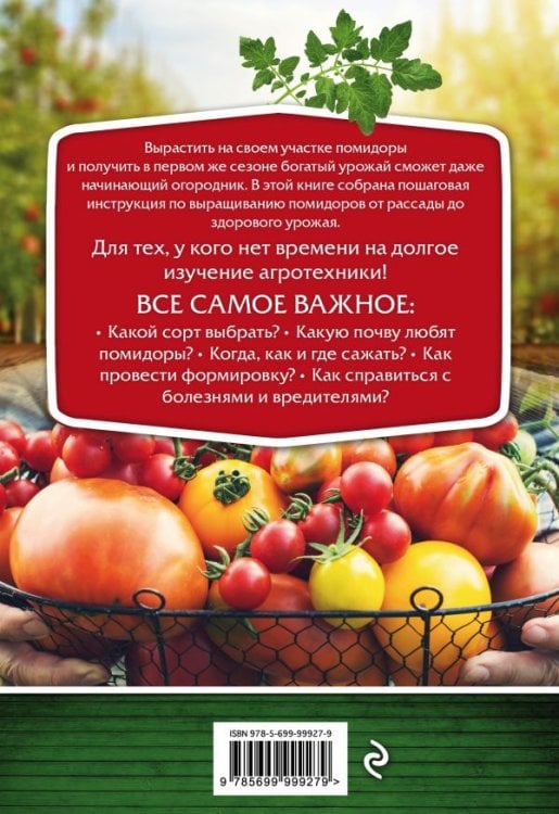 Помидоры. От рассады до сверхурожая