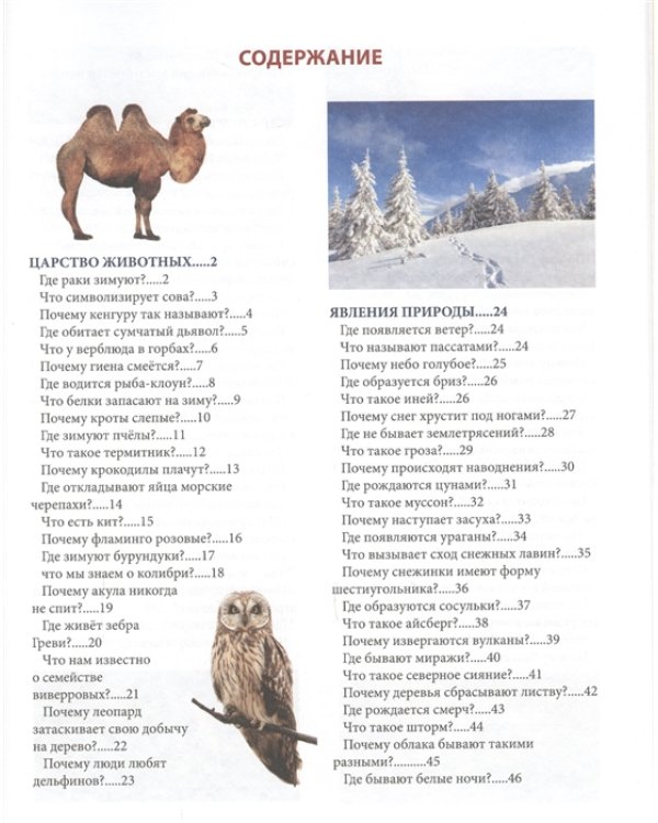 Что? Где? Почему?