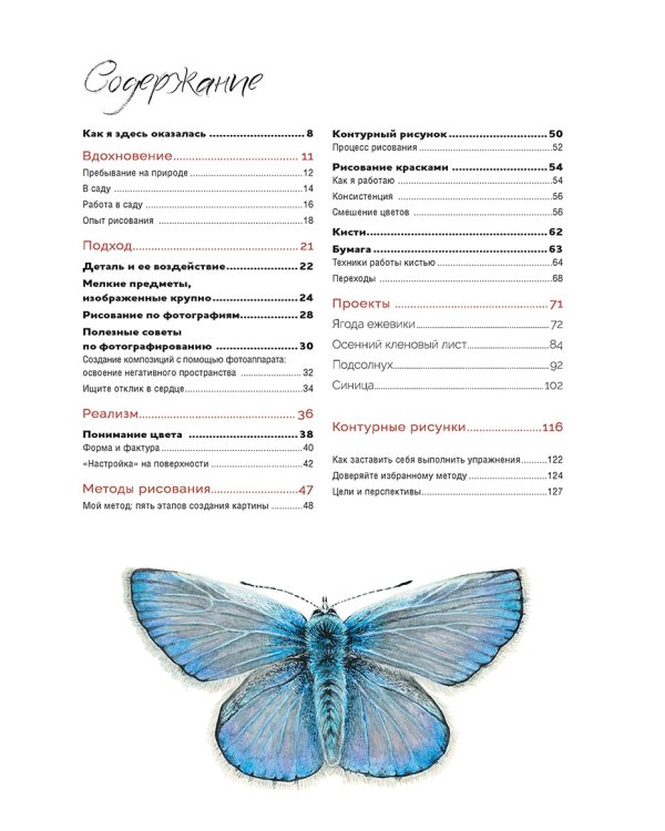 Волшебный мир Анны Мейсон.Рисуем природу.Все секреты реалистичной живописи