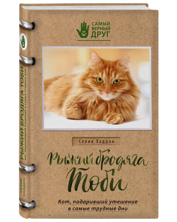 Рыжий бродяга Тоби. Кот, подаривший утешение в самые трудные дни