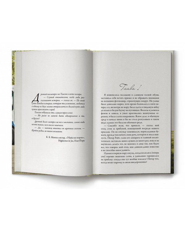 Дополнительное изображение книги «Мороженое со вкусом лета»