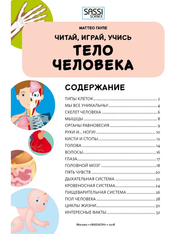 Тело человека