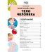 Тело человека