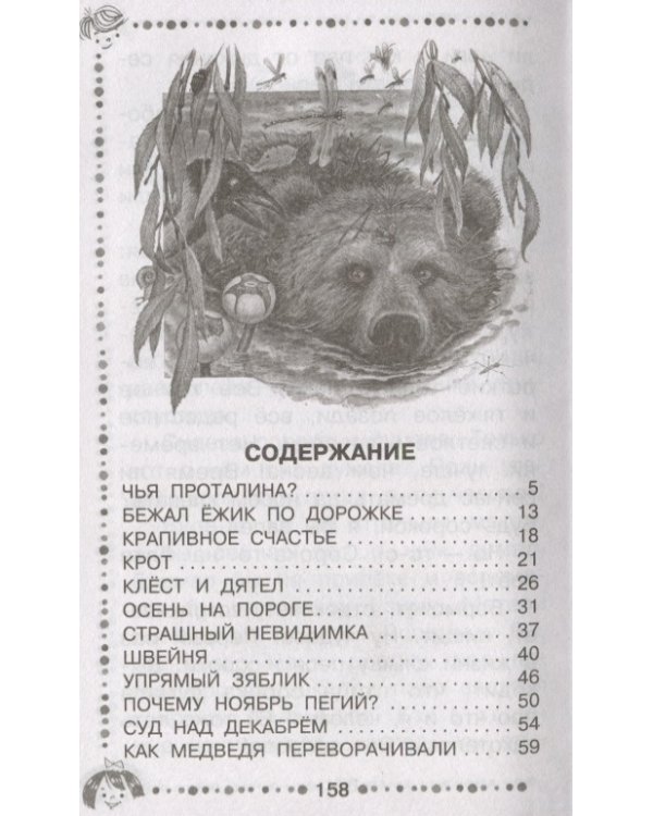 Лесные сказки круглый год