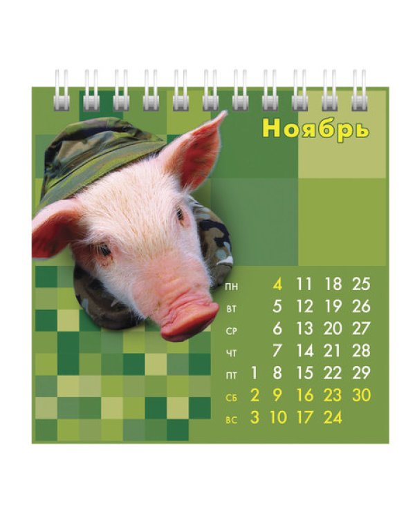 Календарь-домик на 2019 год "Знак года",10,1x10,1 см (K274545)