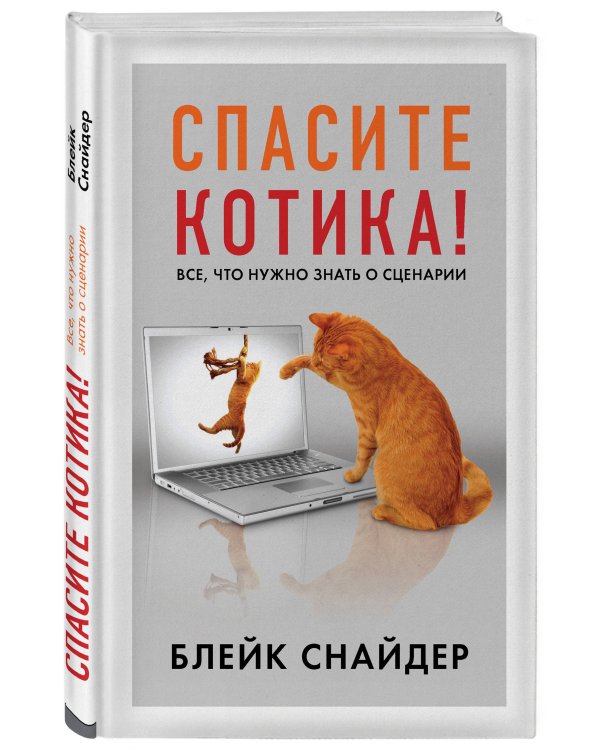 Дополнительное изображение книги «Спасите котика! Все, что нужно знать о сценарии»