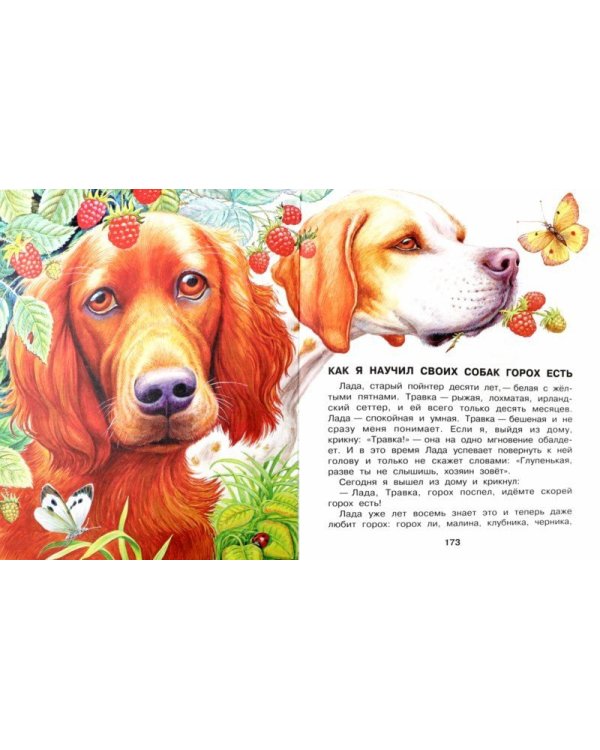 Большая книга про зверей