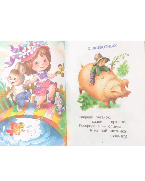 Загадки