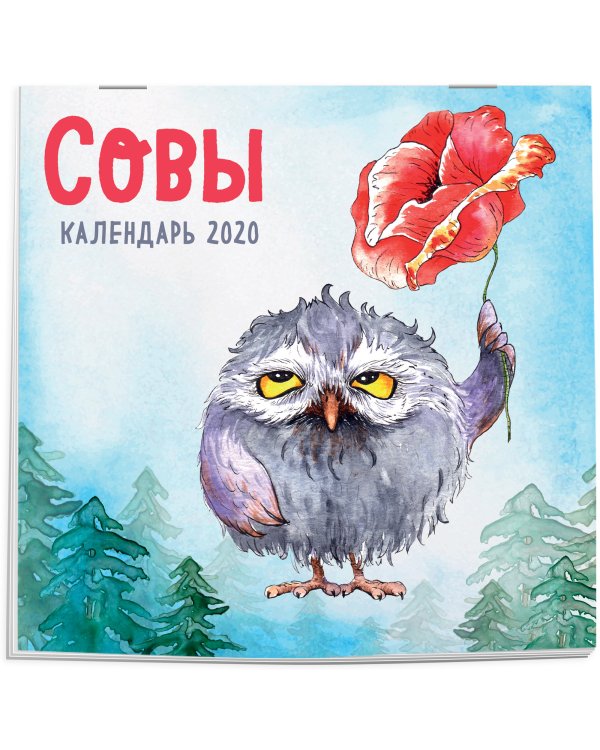 Дополнительное изображение книги «Совы. Календарь настенный на 2020 год»