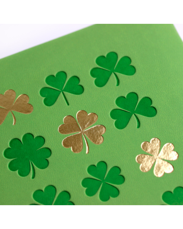 Дополнительное изображение книги «Книга для записей "Lucky You. Зеленый", В6, 80 листов, линия»