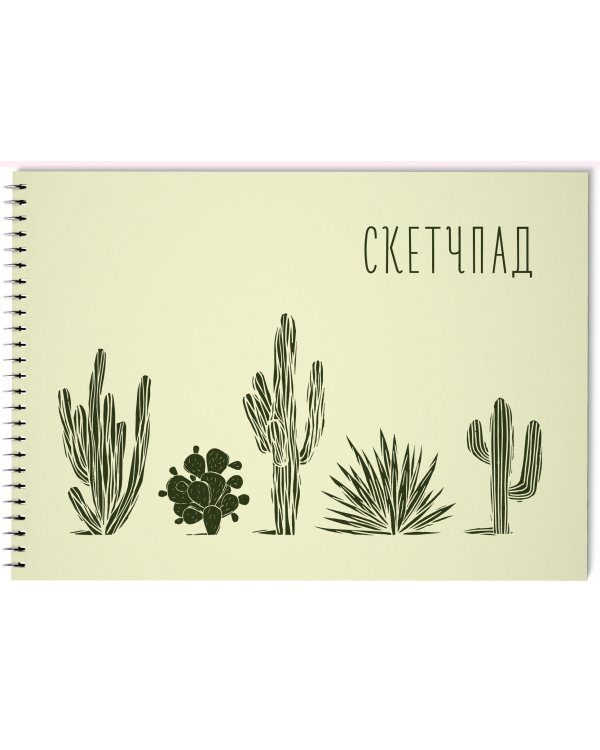 Дополнительное изображение книги «Кактусы. Скетчпад»