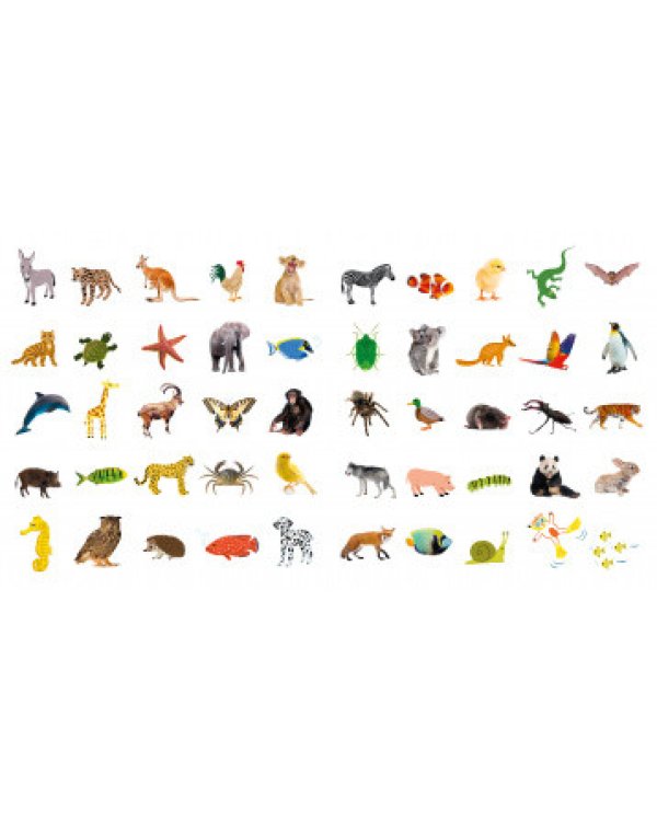Дополнительное изображение книги «First Animals»