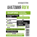 Анатомия йоги