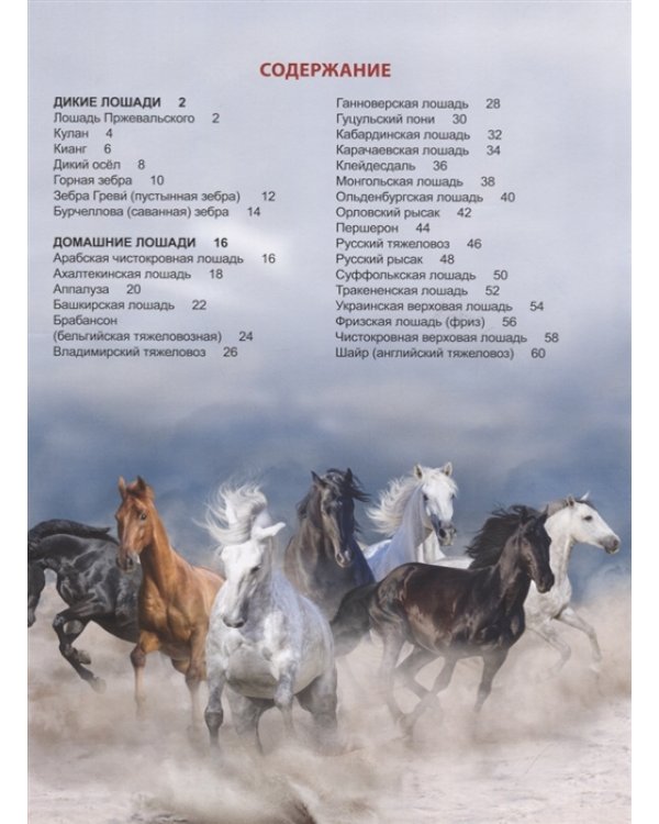 Энциклопедия для детей. Лошади