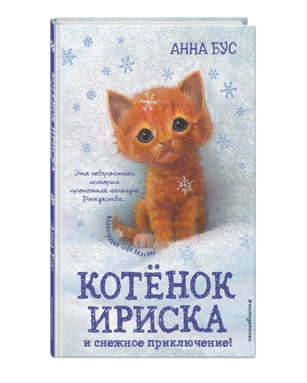 Котёнок Ириска и снежное приключение!