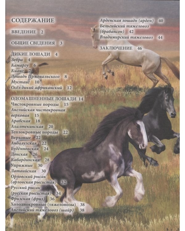 Хочу все знать. Лошади