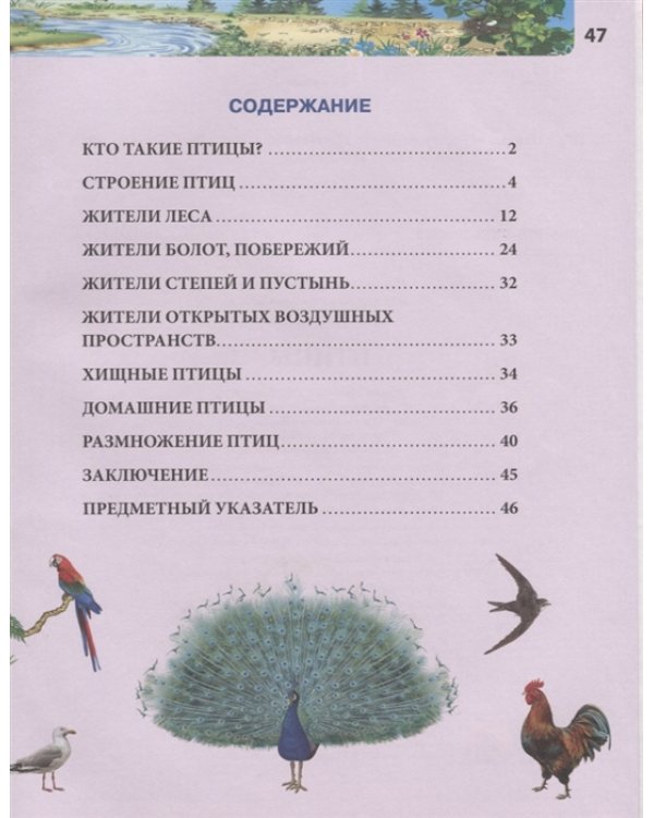 Птицы