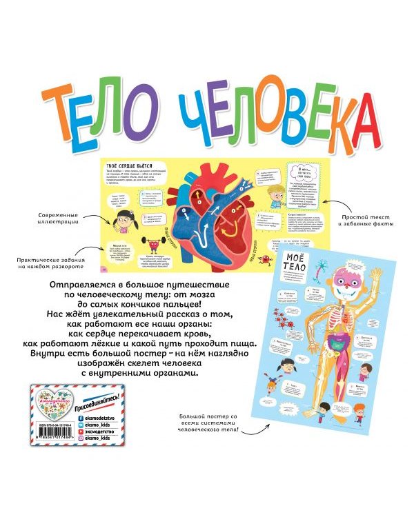 Тело человека. Моя первая энциклопедия