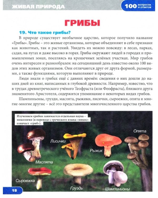 Живая природа