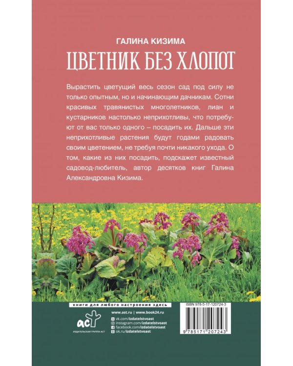 Цветник без хлопот на несколько лет вперед