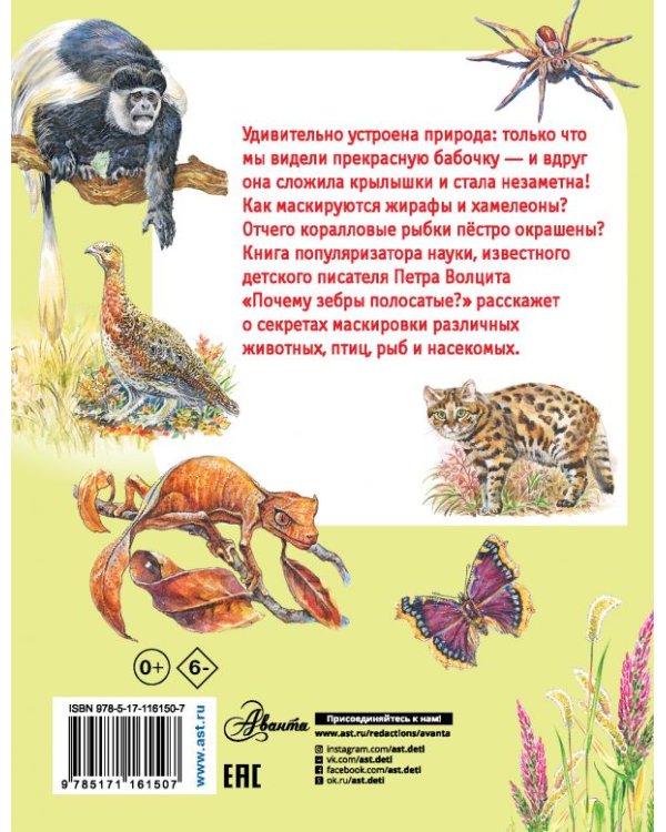 Почему зебры полосатые?