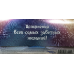 Конверт для денег "Dream Cards. Поздравляю. Котенок", 164х84 мм
