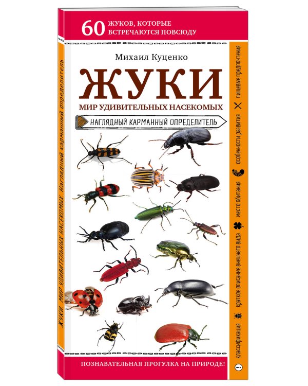 Жуки. Мир удивительных насекомых. Наглядный карманный определитель