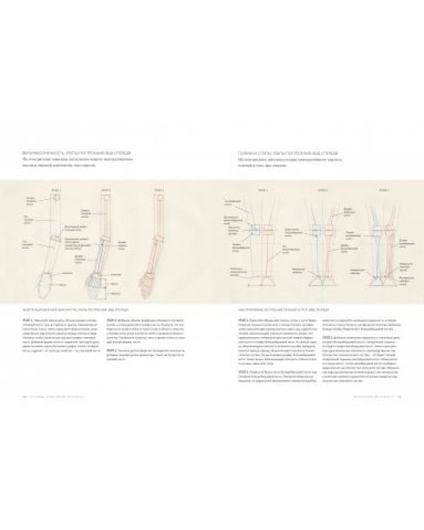 Основы анатомии человека. Наглядное руководство для художников