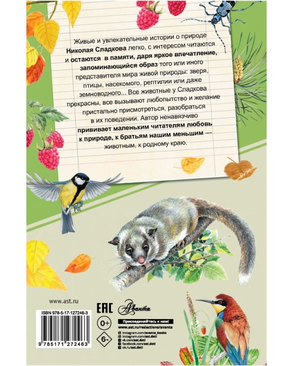 Лесные тайнички