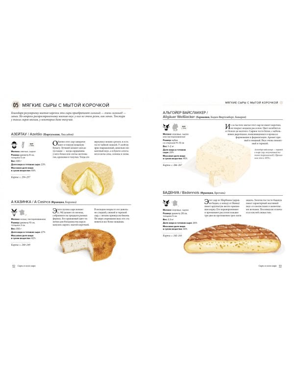 Скажите "CHEESE!" Сырный атлас гурмана